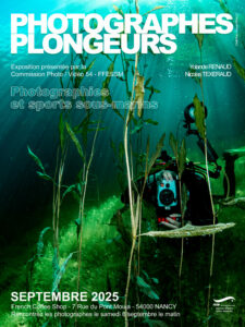 Plongeur prenant une photo entre les herbiers.