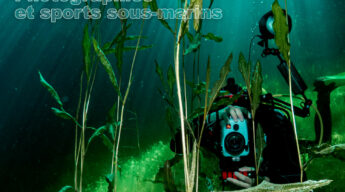 Plongeur prenant une photo entre les herbiers.