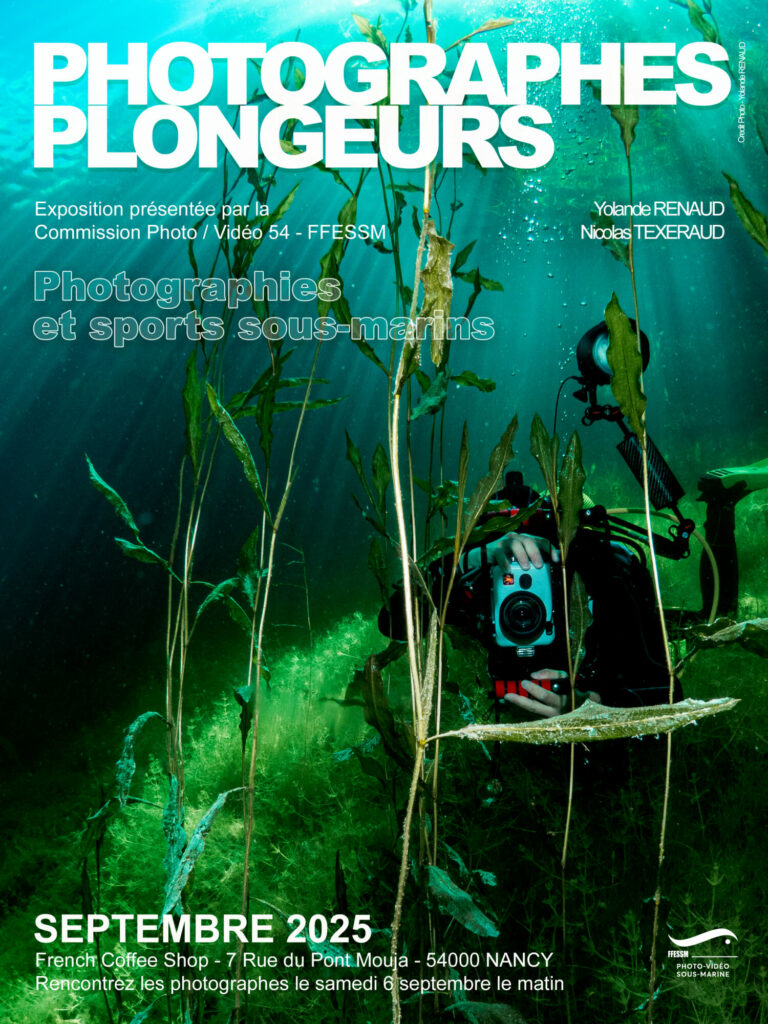 Plongeur prenant une photo entre les herbiers.
